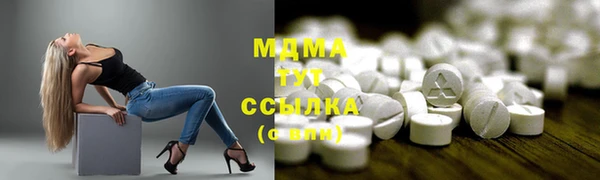 PSILOCYBIN Алзамай