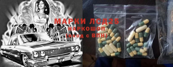 PSILOCYBIN Алзамай