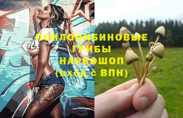 гидра Алексеевка
