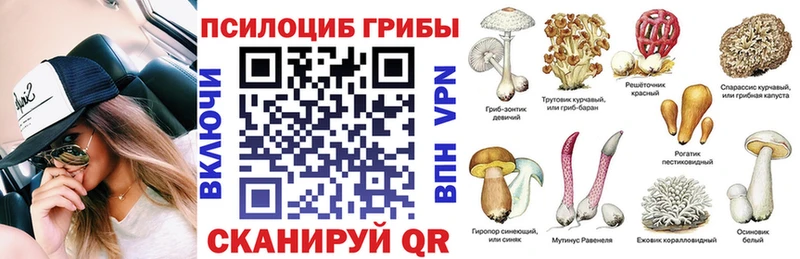 Галлюциногенные грибы GOLDEN TEACHER  купить  цена  Симферополь 