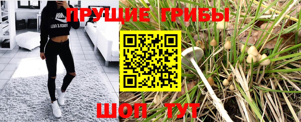 Псилоцибиновые грибы прущие грибы Симферополь
